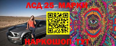 ALPHA-PVP Новодвинск