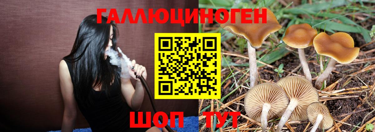 Псилоцибиновые грибы Magic Shrooms  Галлюциногенные грибы MAGIC MUSHROOMS  Ноябрьск  Вход с VPN 